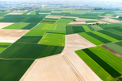 Luftbild von großer Anzahl bewirtschafteter Ackerflächen © Westend61/stock.adobe.com