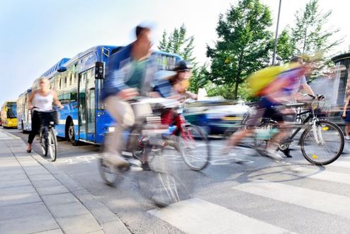Foto: Fahrradfahrer vor einem Bus an einem Zebrastreifen